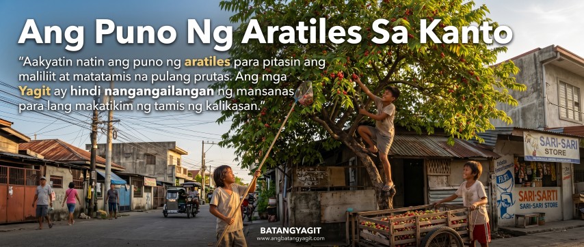 Ang Puno Ng Aratiles Sa Kanto 